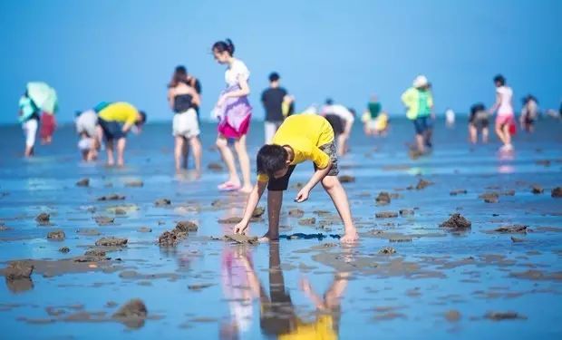 青岛赶海  捡鱼满满成就感